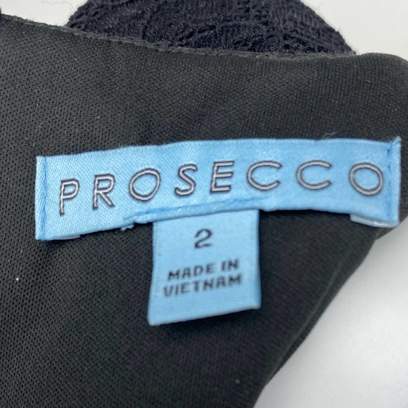 NWT PROSECCO Lace Floral Overlay Fit & Flare Dress Sz 2 - Picture 4 of 5